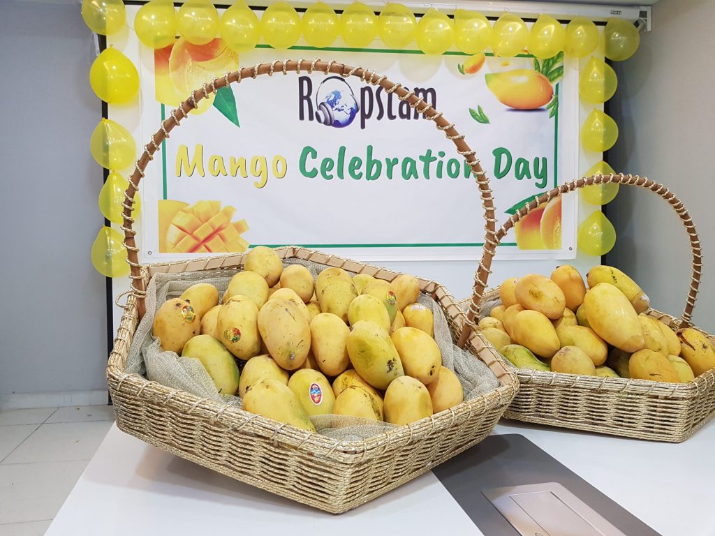 mango day pic 1