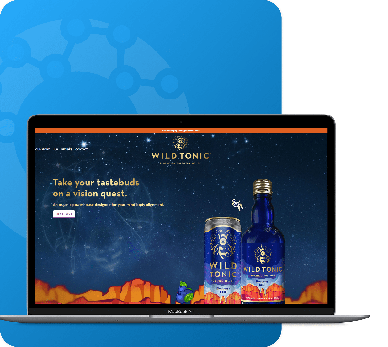 wild tonic case study for wordpress/shopify development services by ropstam solutions