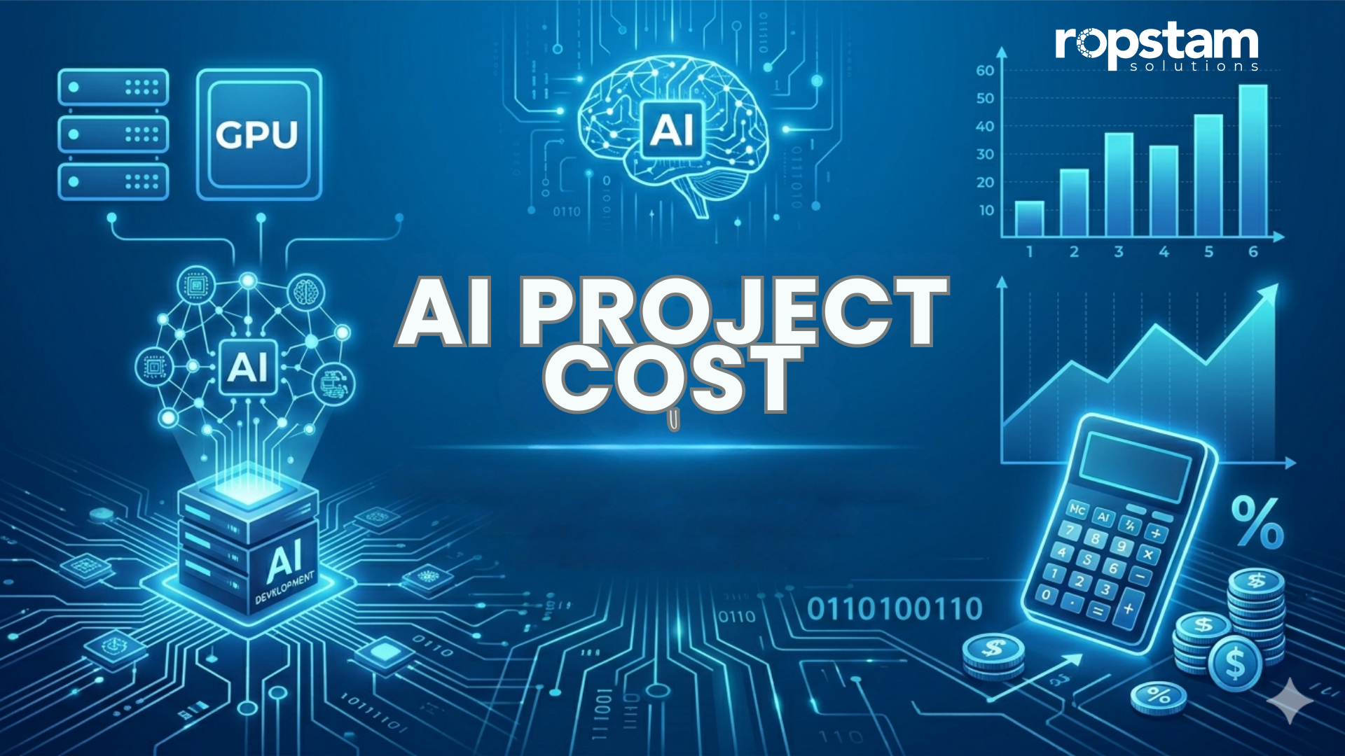 AI Project Cost